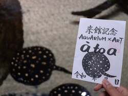 「四国から広島、兵庫、静岡まで！4つの水族館を巡る「魚朱印de水族館巡り」がスタート」の写真