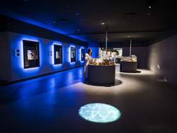 「四国から広島、兵庫、静岡まで！4つの水族館を巡る「魚朱印de水族館巡り」がスタート」の写真