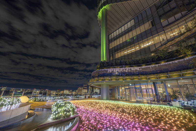 「PARK VIEW WINTER GARDEN」（昨年の様子）