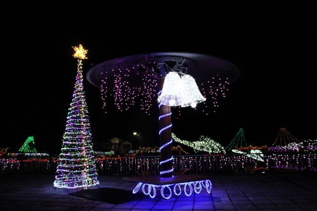 あやめ池ウィンターイルミネーション2025｜過去の様子