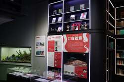 「神戸アトアで干支展2種を同時開催！　午年の福笑いと白蛇祭で楽しむ年末年始」の写真