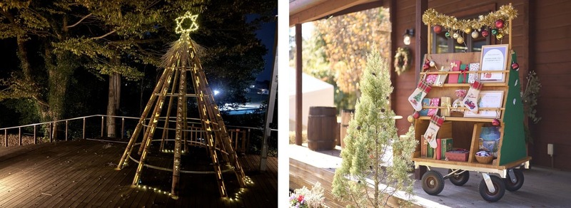 12月25日（木）までは、約3mの「バンブークリスマスツリー」が登場！