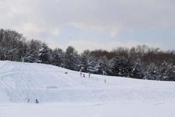 「【2025-2026】札幌で雪遊びができるスポット8選｜スキー場のキッズパーク＆公園も」の写真