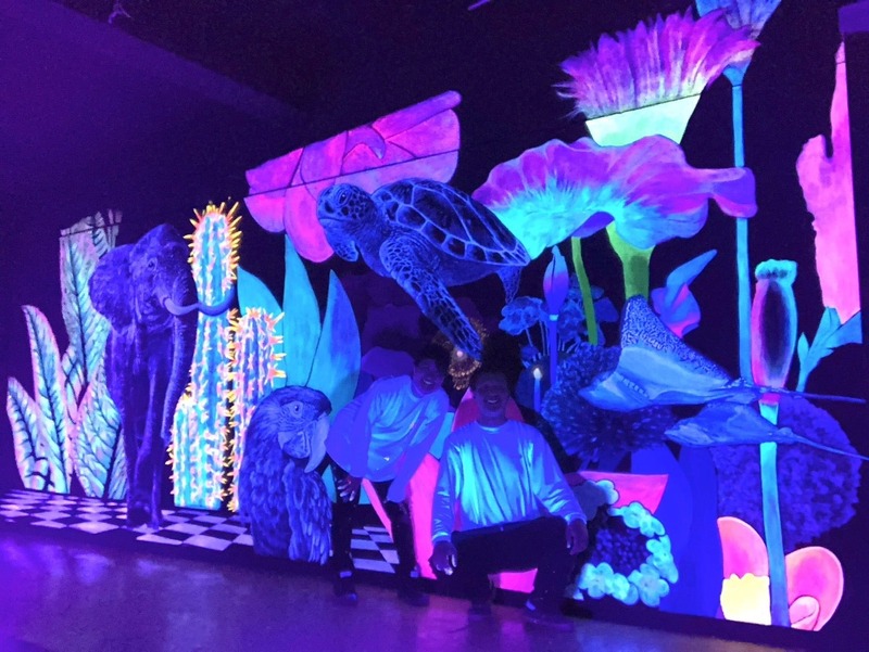 アートユニット「SIGHTRIP」の作品