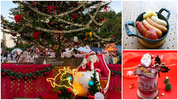 プレミアムマグカップ