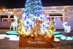 ワンちゃん専用フォトスポット