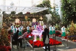 過去開催時の様子