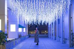 ガラス屋根下のイルミネーション