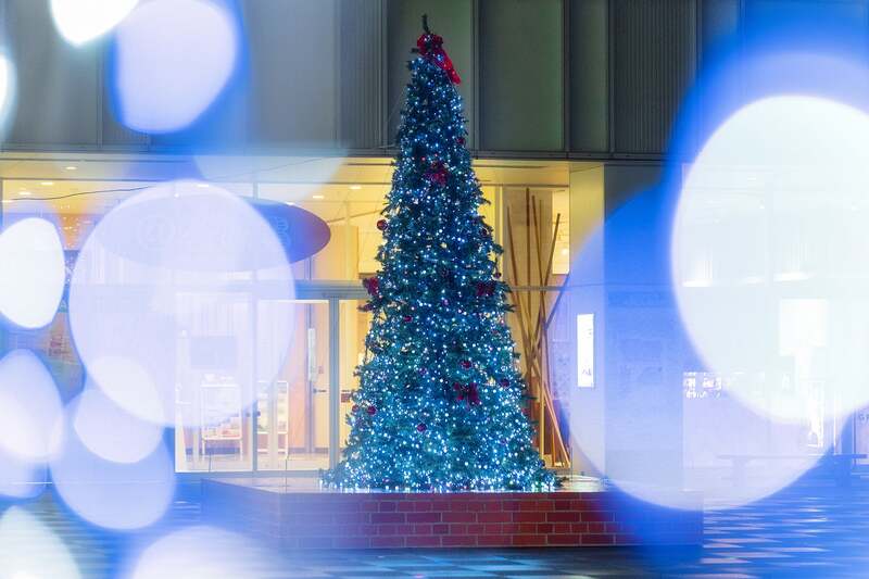 にぎわい広場クリスマスツリー