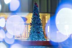 にぎわい広場クリスマスツリー