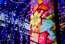 「お台場臨海副都心で初開催！　回遊型イルミネーション「LIGHT WALK ODAIBA」開幕」の写真