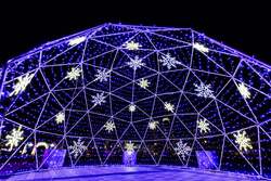 「お台場臨海副都心で初開催！　回遊型イルミネーション「LIGHT WALK ODAIBA」開幕」の写真