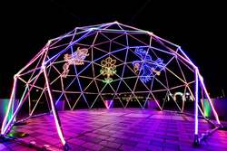 「お台場臨海副都心で初開催！　回遊型イルミネーション「LIGHT WALK ODAIBA」開幕」の写真