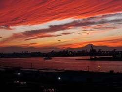 「お台場臨海副都心で初開催！　回遊型イルミネーション「LIGHT WALK ODAIBA」開幕」の写真