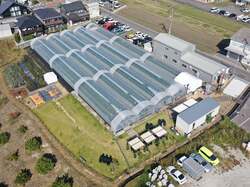 5連棟のいちごハウス