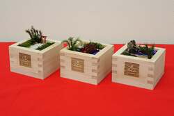 枡の中に広がる、小さな自然