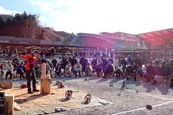 大迫力のアートショーを間近で見られます