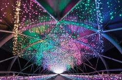 フラワーイルミネーション2025／(c)とっとり花回廊