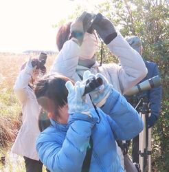 ぶち楽しいバードウォッチング