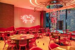 「本ズワイ蟹×タイ料理を満喫！大阪なんばでディナービュッフェ開催　3歳以下は無料」の写真