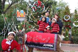 写真は去年の様子