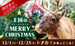 「西日本唯一！　神戸どうぶつ王国で本物のトナカイに会えるクリスマスイベント開催中」の写真