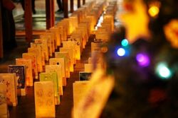 きじまだいら ランタンフェス2025│(C)一般社団法人木島平村観光振興局