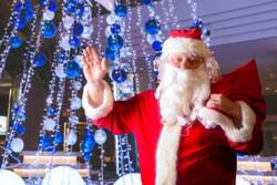 「沖縄恩納村で高さ13mのツリー輝く！　サンタ＆イルカに会えるクリスマスイベント開催」の写真