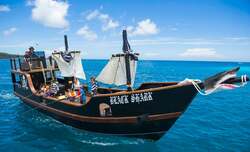 「沖縄恩納村で高さ13mのツリー輝く！　サンタ＆イルカに会えるクリスマスイベント開催」の写真