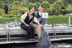 「沖縄恩納村で高さ13mのツリー輝く！　サンタ＆イルカに会えるクリスマスイベント開催」の写真