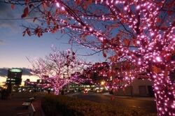 「【2025-2026】広島の人気＆大規模イルミネーションおすすめ9選！親子で光の絶景満喫」の写真