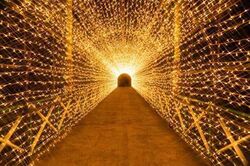 「【2025-2026】広島の人気＆大規模イルミネーションおすすめ9選！親子で光の絶景満喫」の写真