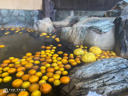 「【関東】2025年12月22日は「冬至」親子でゆず湯を満喫できる入浴施設」の写真