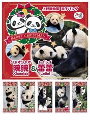 「【上野・浅草周辺】2025年12月13～14日の今週末に楽しめるイベント5選 無料イベントも」の写真