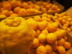 「【関東】2025年12月22日は「冬至」親子でゆず湯を満喫できる入浴施設」の写真