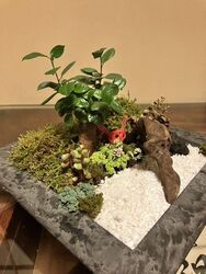 「【江東区】2025年12月13日・14日の今週末に楽しめるイベント8選　無料も！」の写真