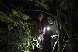 草木をかき分けジャングルの奥へ