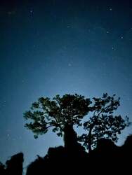 「沖縄本島南部の本物のジャングルで星空観察！　冬の夜空を見上げる探検ツアー開催」の写真