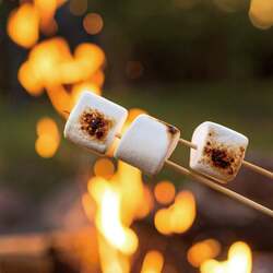 「日本三大イルミネーション「湘南の宝石」に鵠沼エリア参画　巨大オブジェが夕景を彩る」の写真