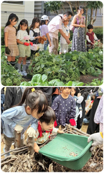 Q's farm（キューズファーム）オープンファーム