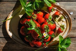 「【東海】2026年1月におすすめ！親子向けおでかけ先＆イベントまとめ」の写真