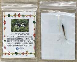 「獅子舞や福袋、お年玉も！池袋サンシャインシティでお正月イベント　親子の冬休みに！」の写真