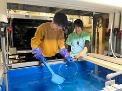 スペシャルパックの飼育スタッフ体験イメージ