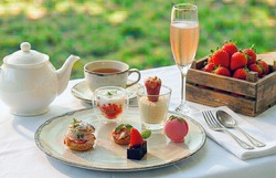 「【東海】2026年1月におすすめ！親子向けおでかけ先＆イベントまとめ」の写真