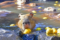 「【東海】2026年1月におすすめ！親子向けおでかけ先＆イベントまとめ」の写真