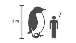 「50匹以上のペンギンに囲まれる体験も！渋谷で親子で楽しめる「ペンギンだらけ展」開催」の写真