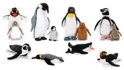 「50匹以上のペンギンに囲まれる体験も！渋谷で親子で楽しめる「ペンギンだらけ展」開催」の写真