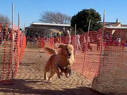 ソレイケ！50ｍタイムアタック