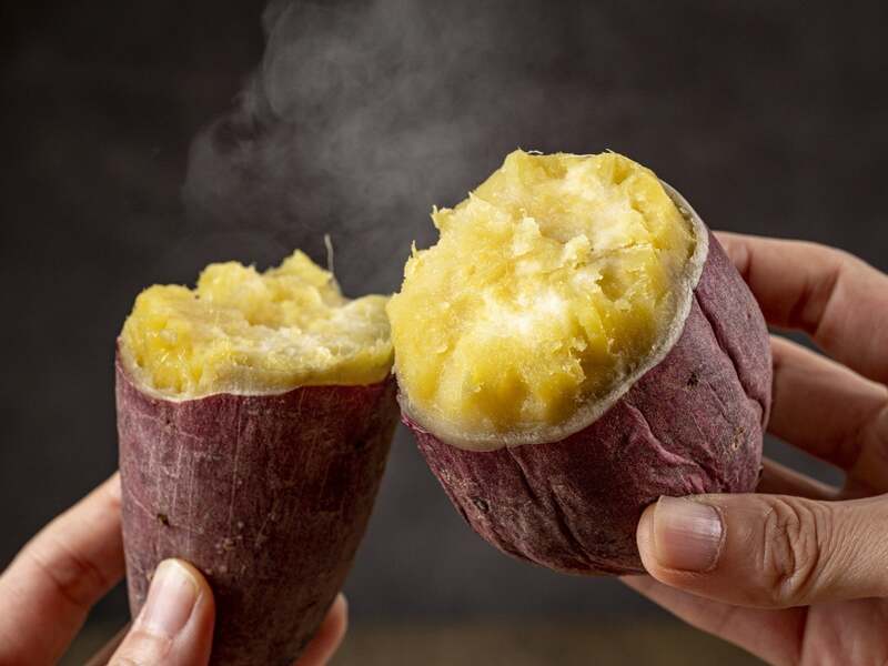 愛犬と焼き芋大会　イメージ