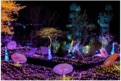 「【2025-2026】関西の人気＆大規模イルミネーションおすすめ19選！親子で光の絶景満喫」の写真